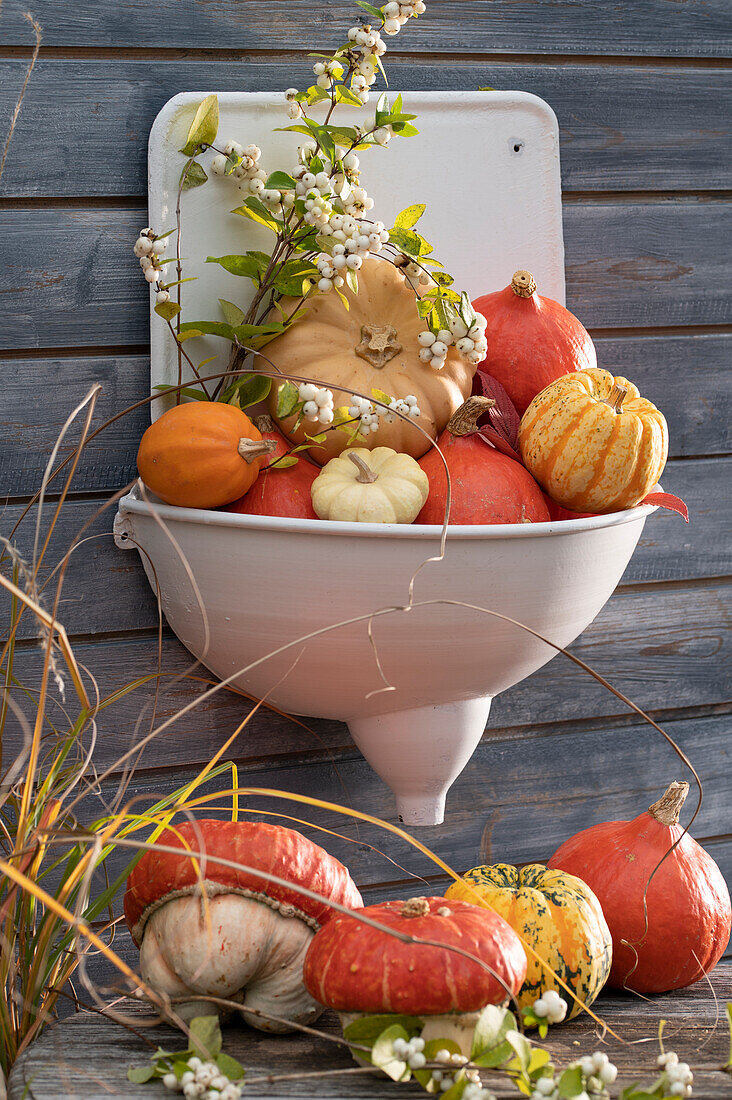 Wall fountain made of metal and decorated with small pumpkins, branch with snowberries