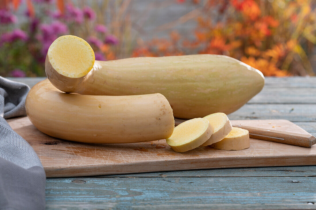 Trumpet pumpkin 'Trombetta di Albenga' sliced on wooden board