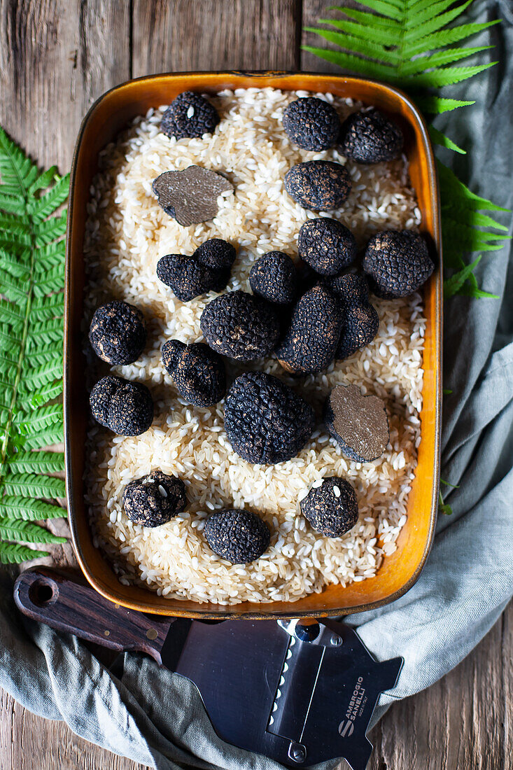 Black truffle mushrooms on rice