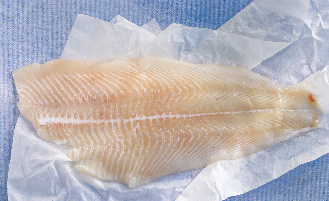 Fresh plaice fillet on paper