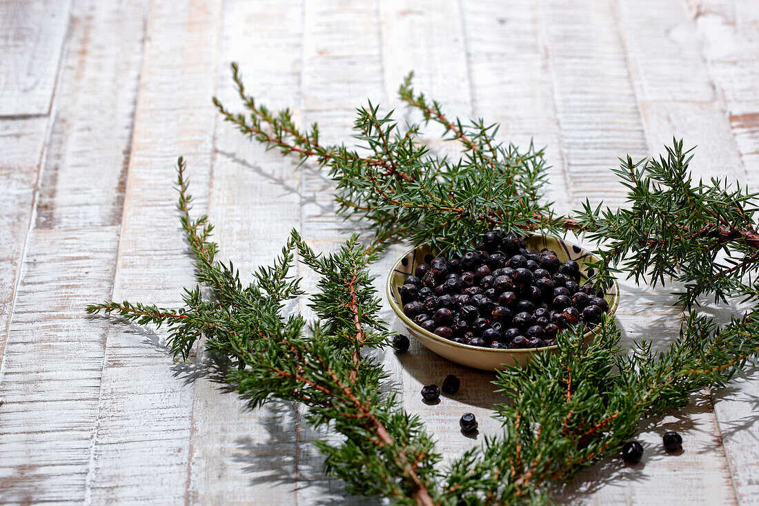 Juniper berries and juniper sprigs