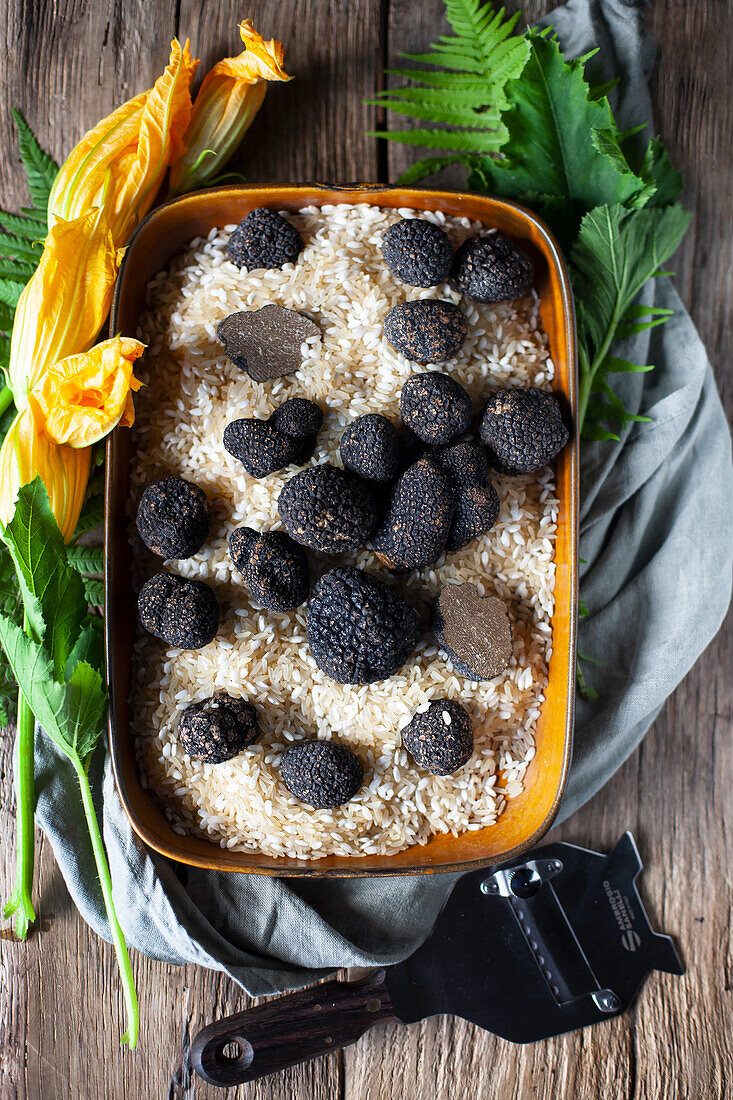 Black truffles on a bed of rice