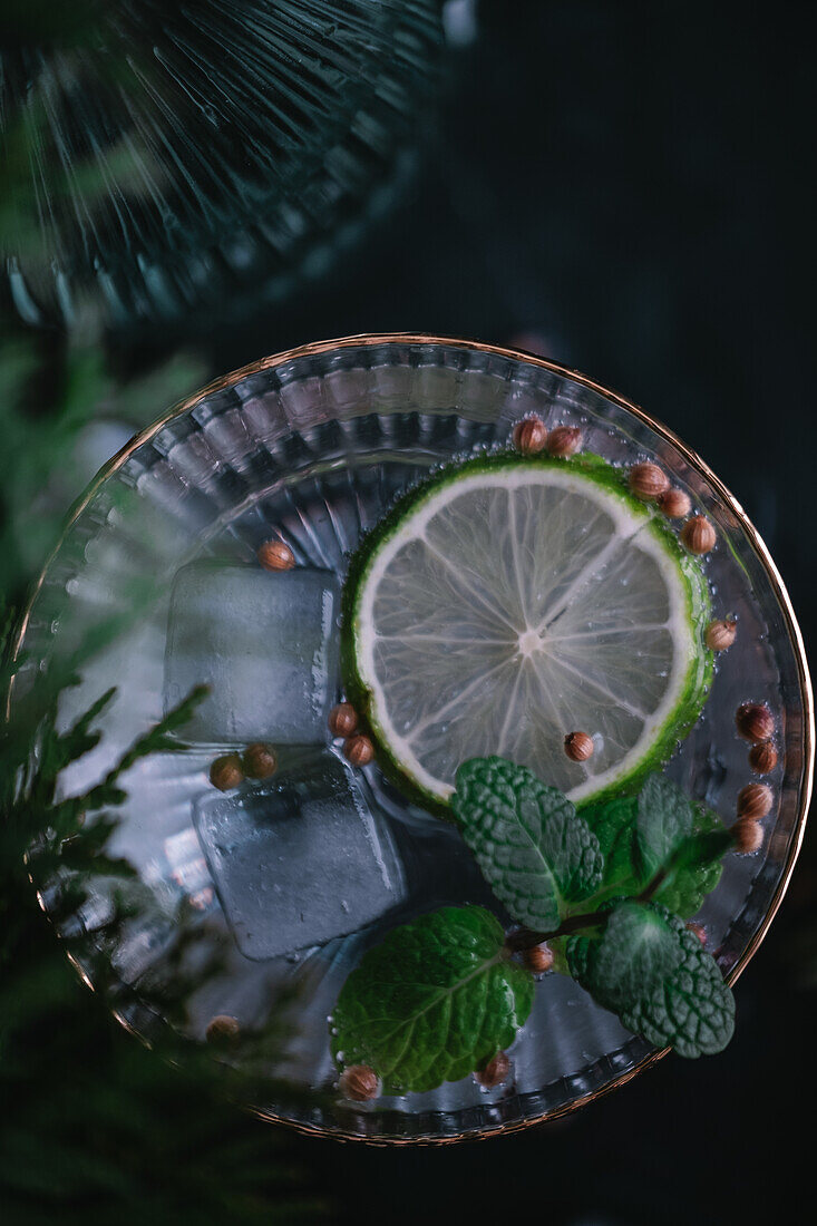 Gin and tonic with herbs and spices