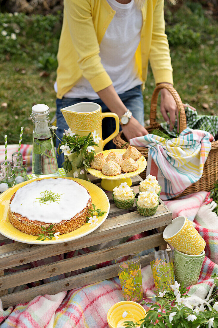 Frühlings-Picknick mit Kuchen und Kleingebäck