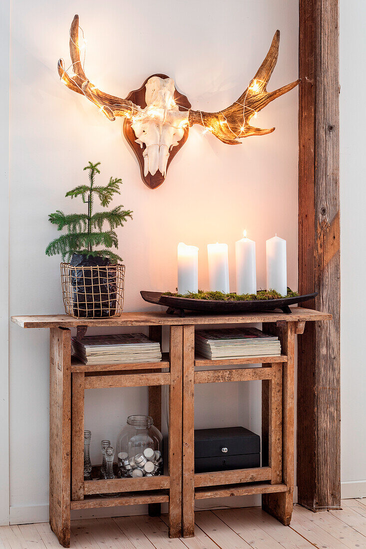 Weihnachtlich dekorierte Holzkonsole und Geweih mit Lichterkette an der Wand