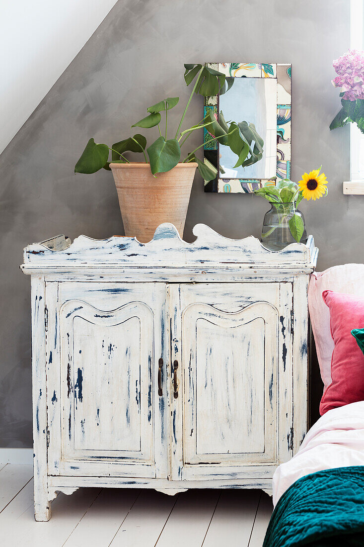 Houseplant and a sunflower on a vintage sideboard in a shabby chic look