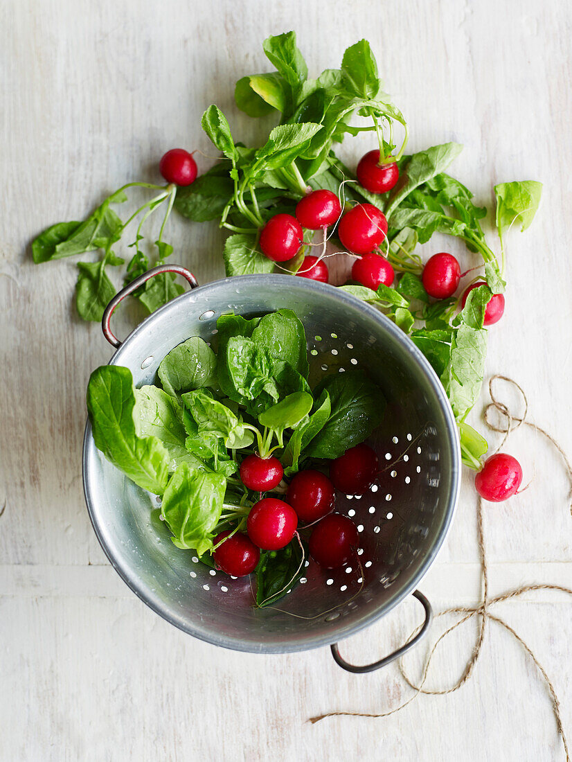 Fresh radish