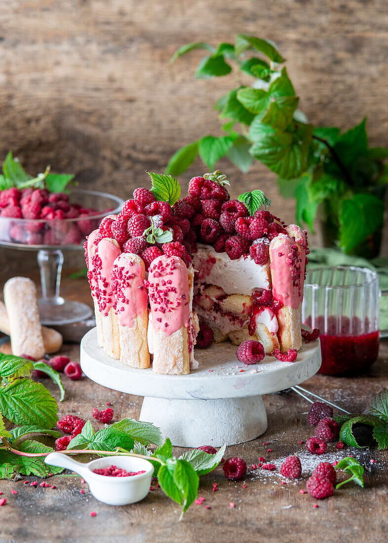 Raspberry tiramisu cake