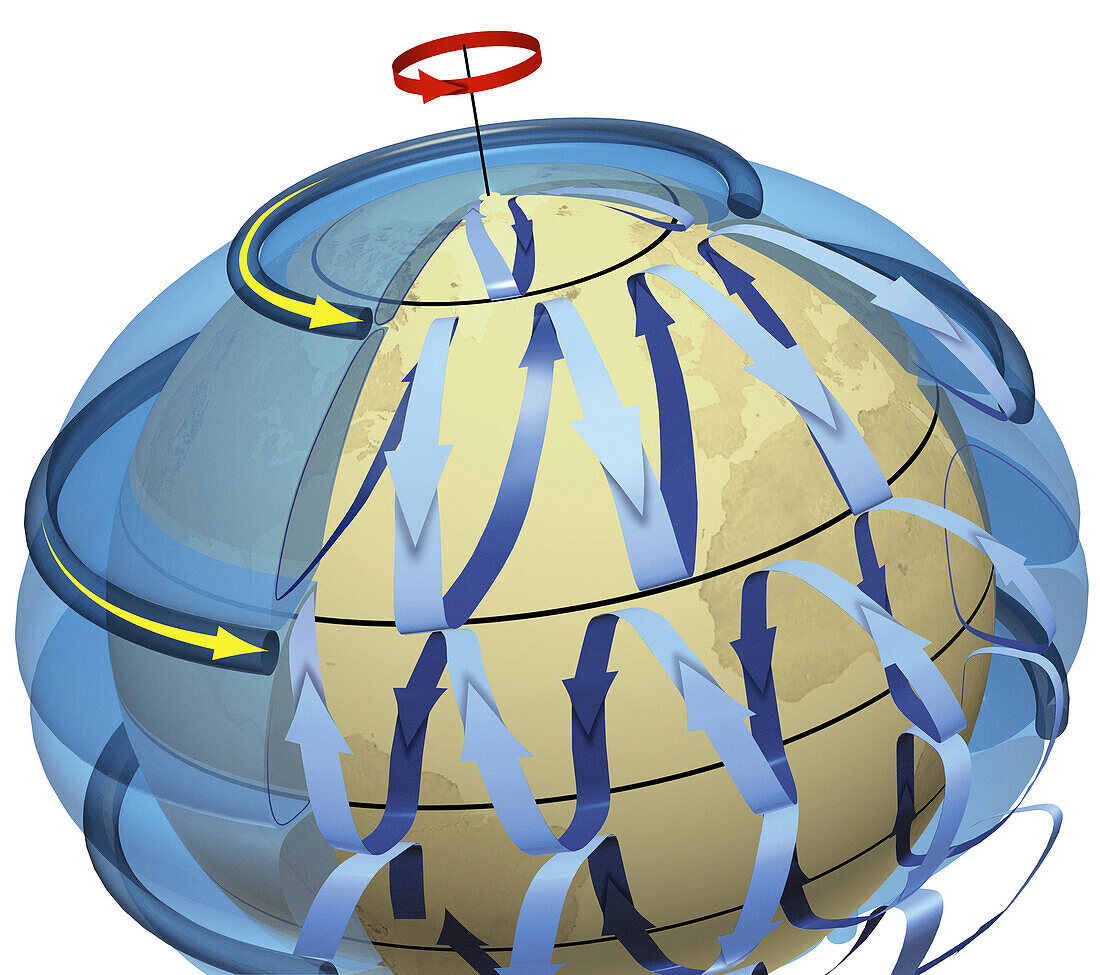 Cell of atmospheric circulation