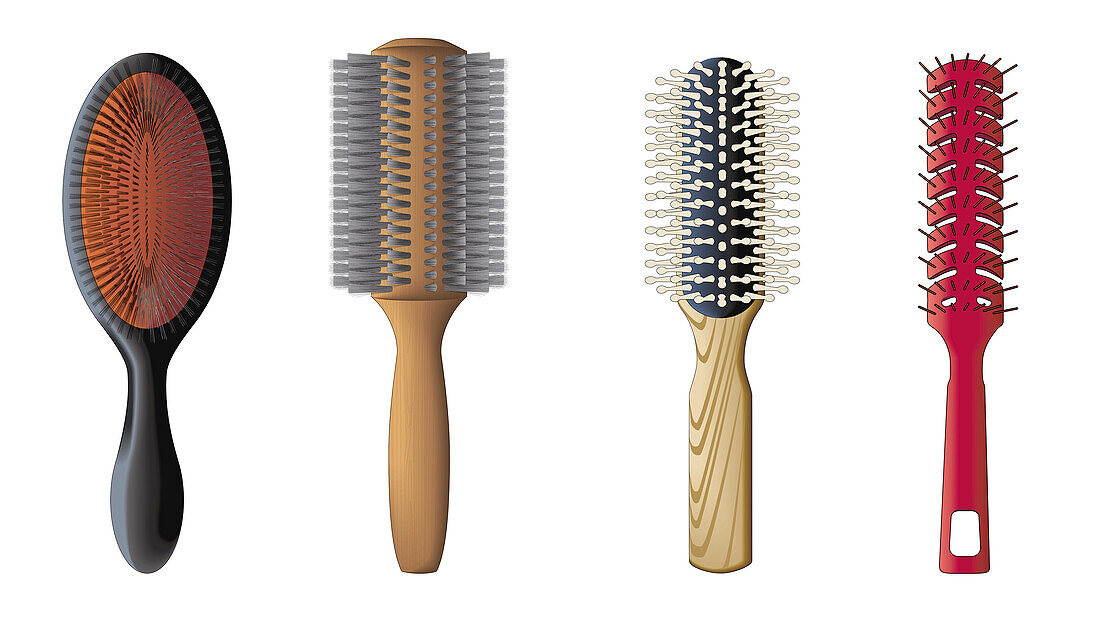 Hairbrush, Illustration