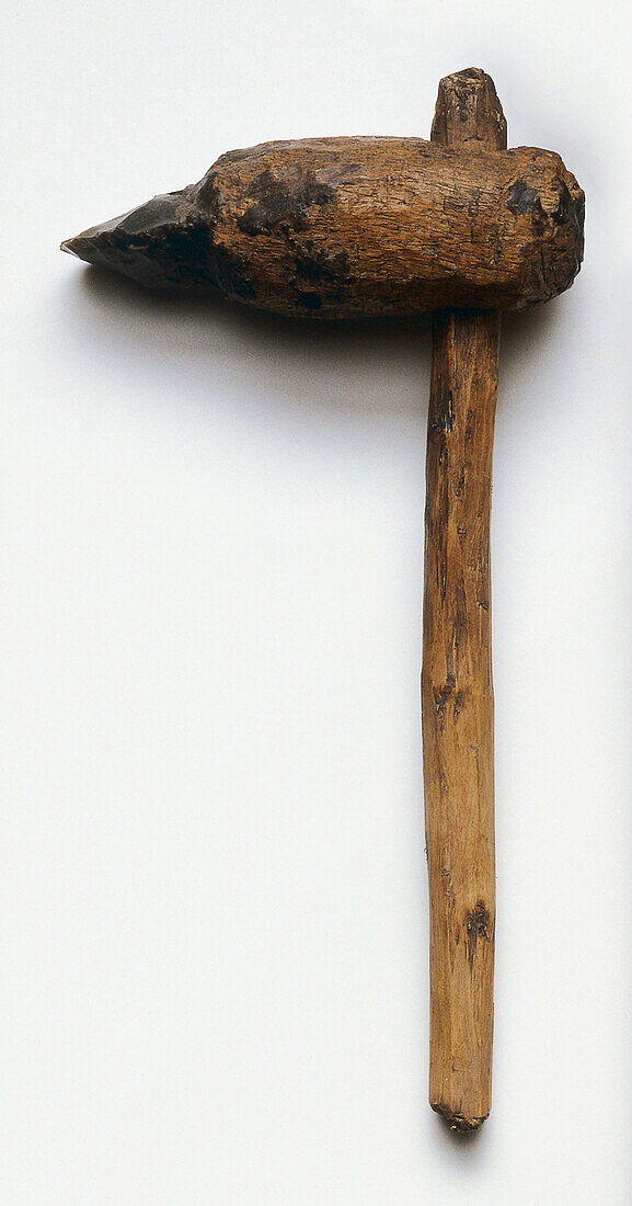 Reproduction of prehistoric digging stick