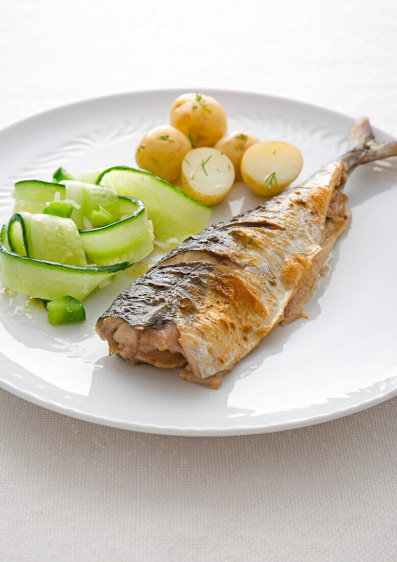 Mackerel with cucumbers and potatoes on plate