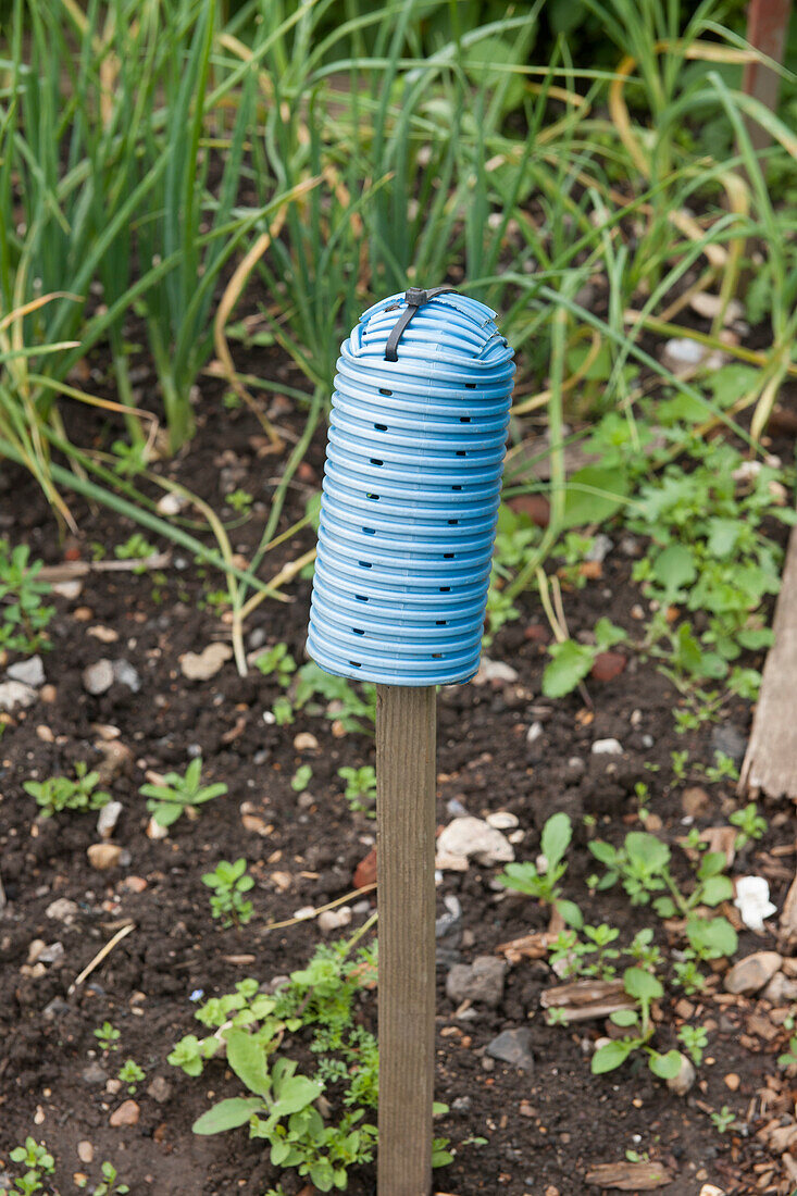 Flexible tubing on wood stake on allotment