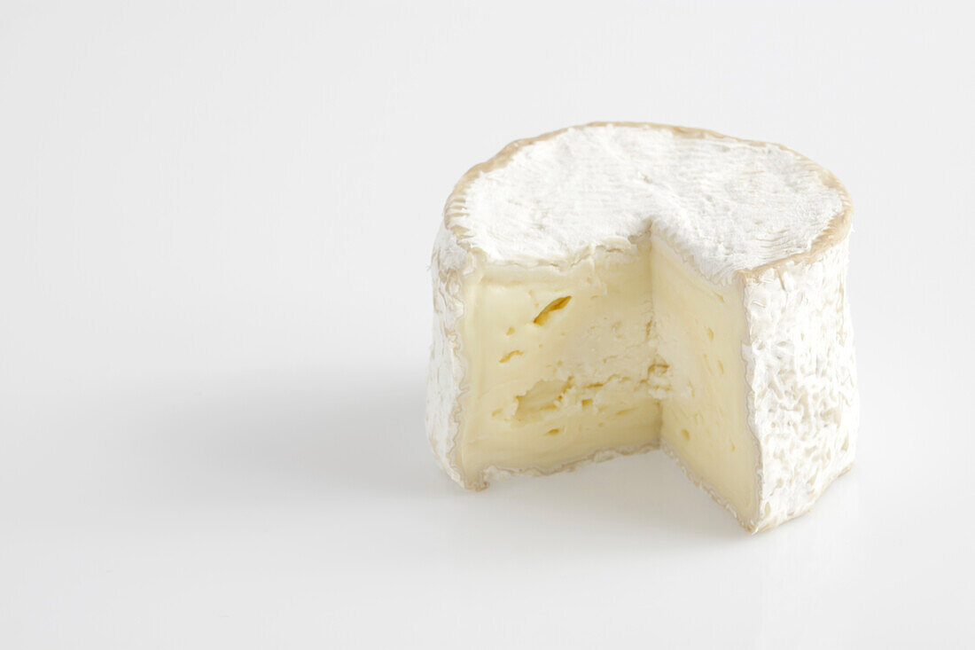 French chaource AOC cow's milk cheese
