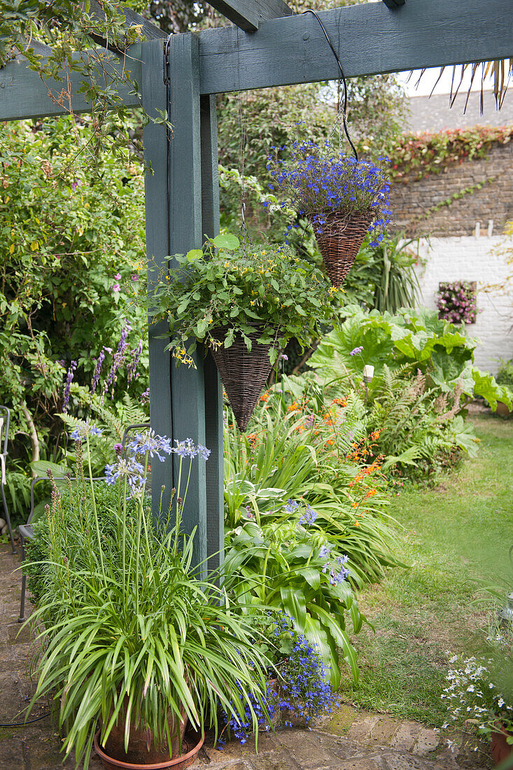 Hanging baskets and pergola in garden