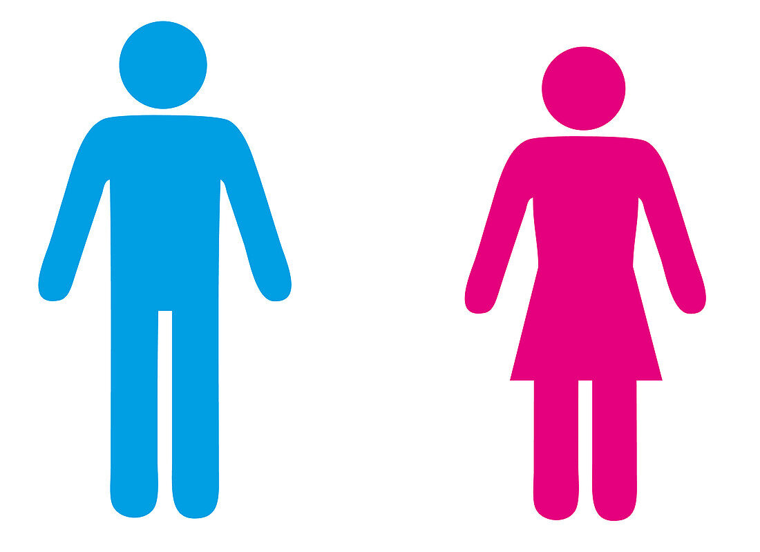 Man and woman icon, illustration
