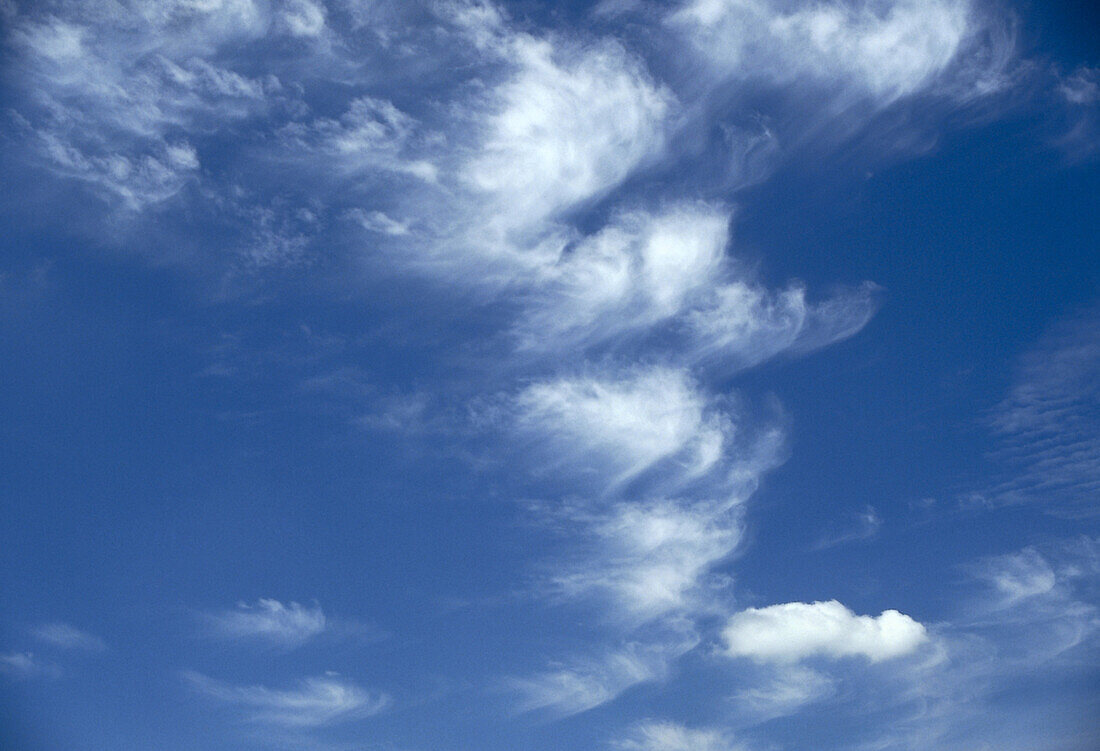 Cirrocumulus floccus clouds in a blue sky