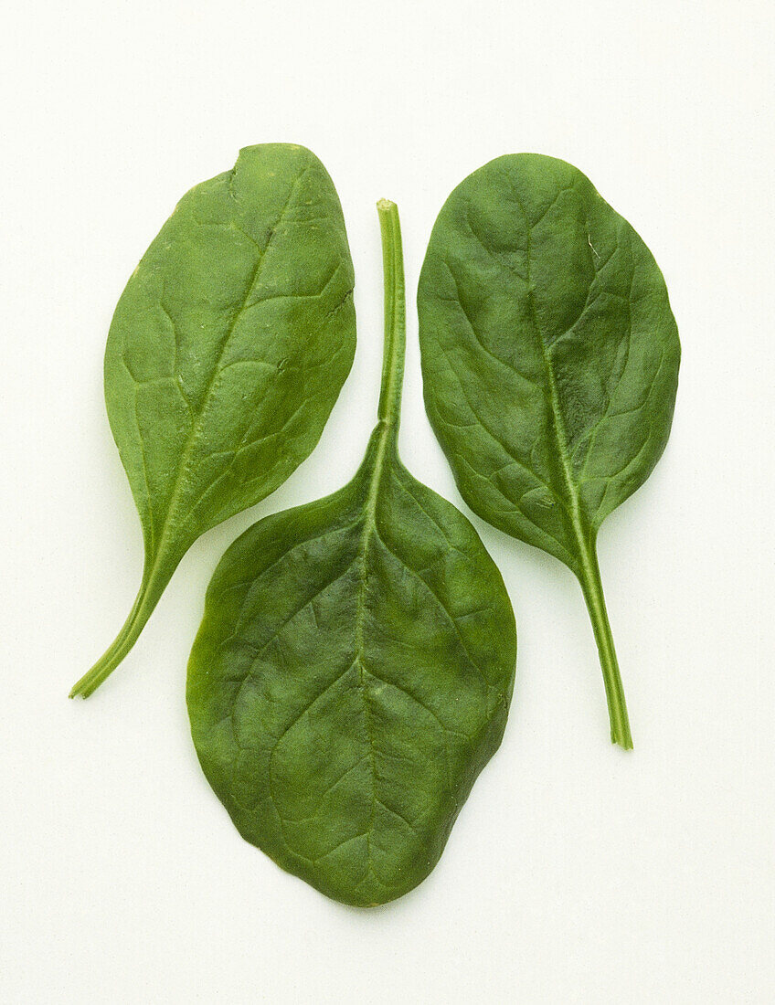 Three fresh green baby spinach leaves