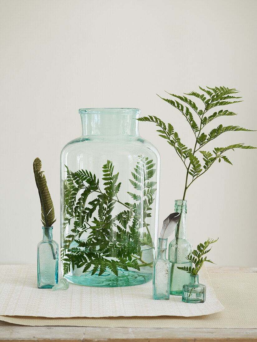 Ferns arranged in recycled bottles and jars