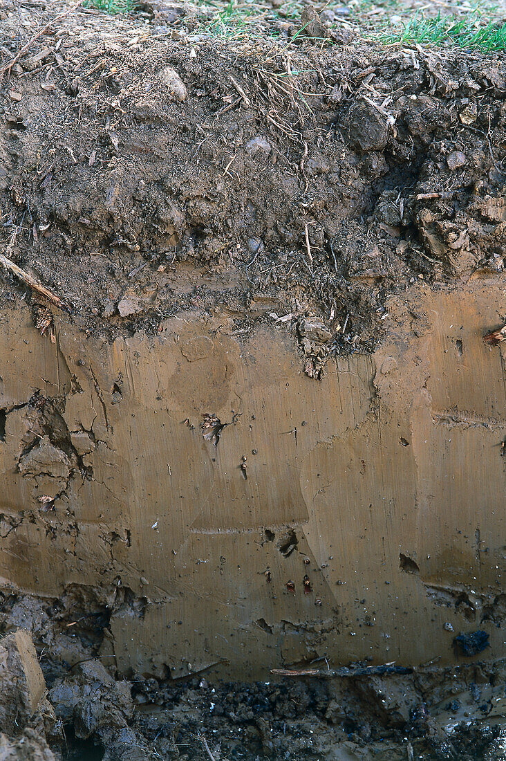 Subterranean layer of clay soil