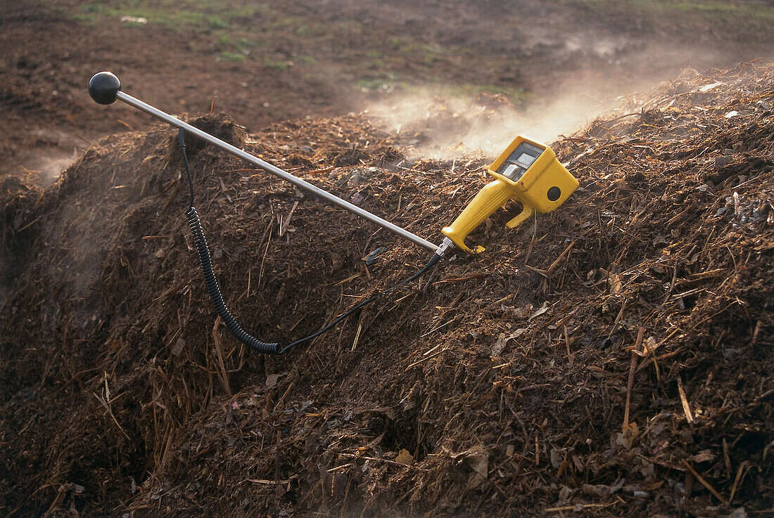 Thermometer on steaming heap of compost