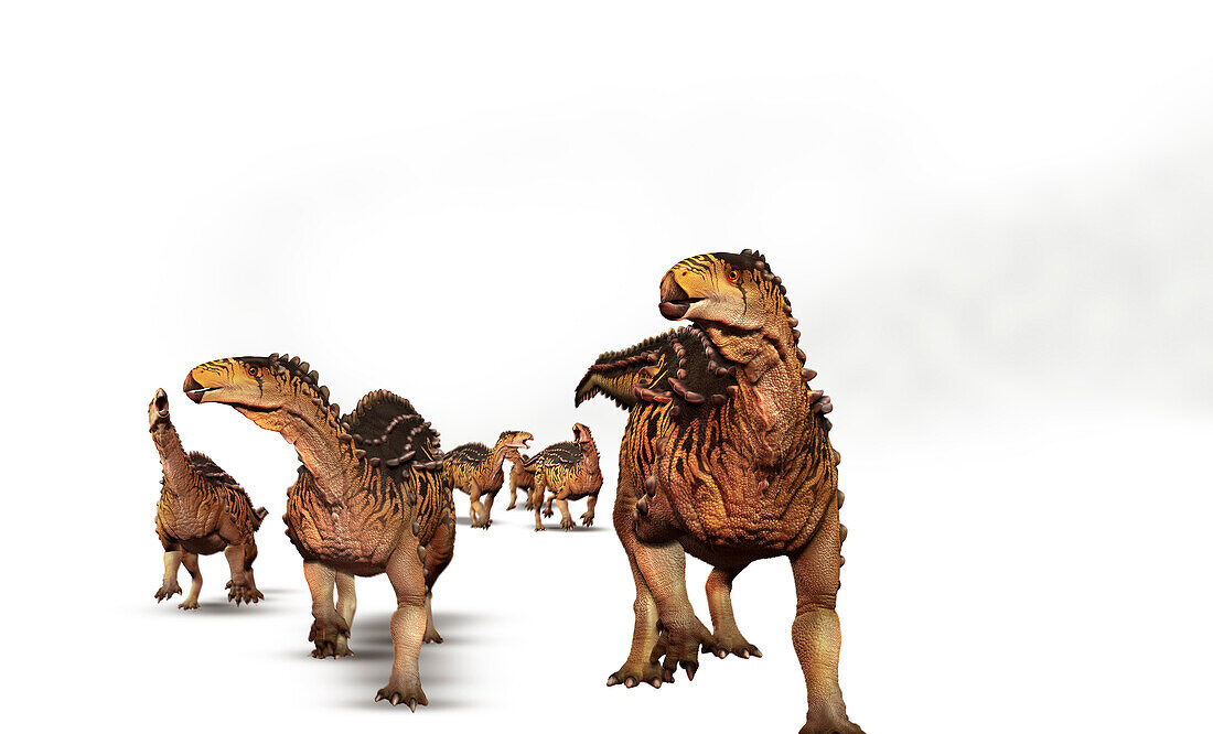 Scelidosaurus dinosaurs, illustration