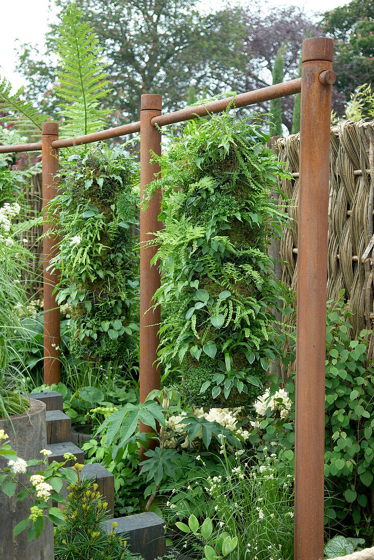 Climbing structure and plants in garden
