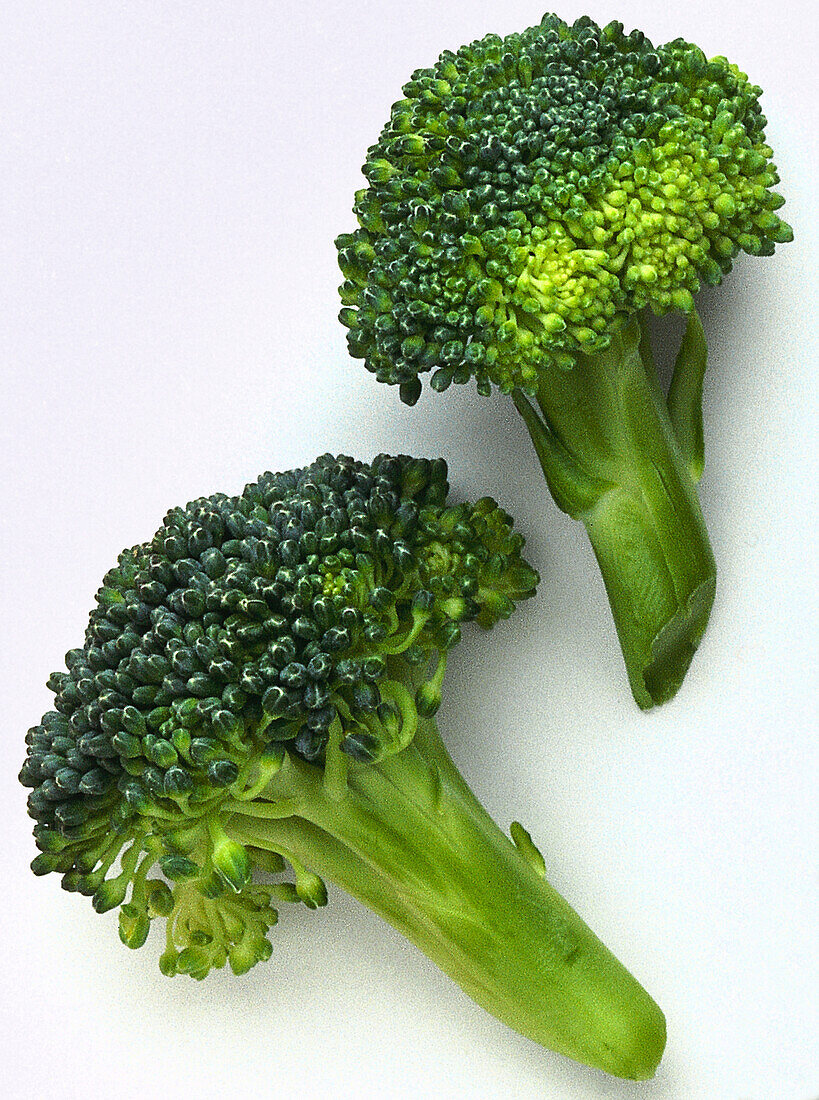 Two florets of green broccoli