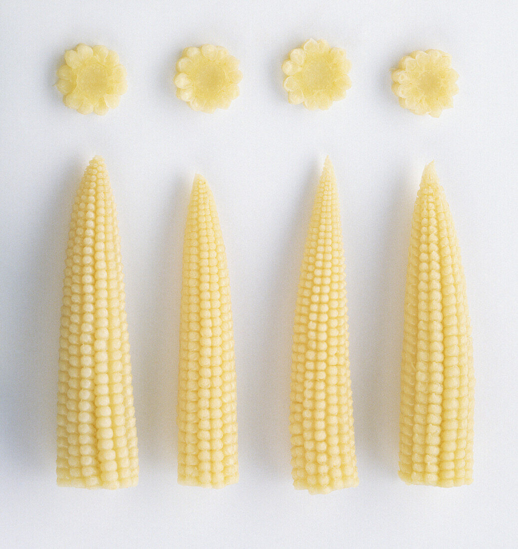 Four baby corn cobs
