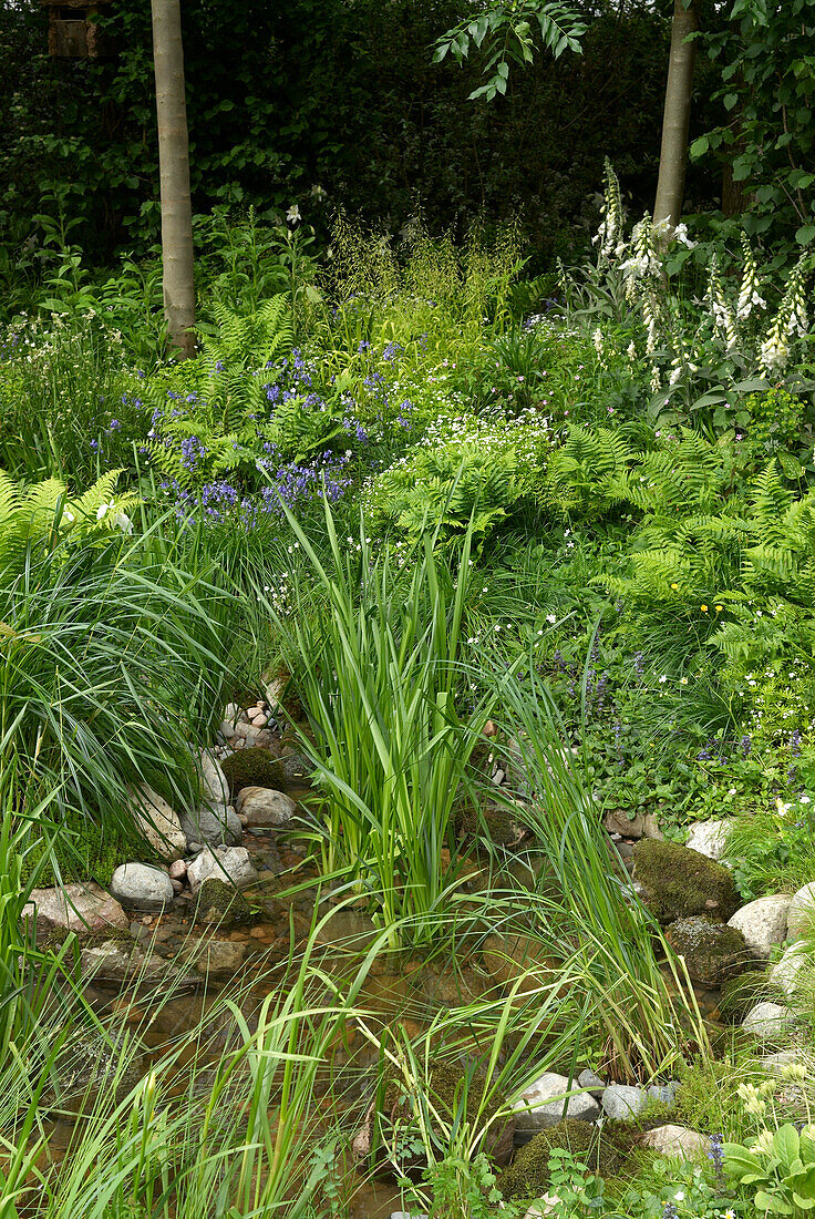 Garden with pond