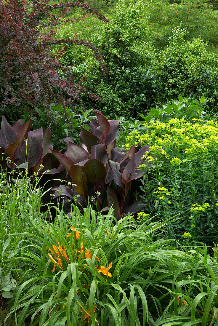 Grasses, shrubs, and tropical planting in woodland garden