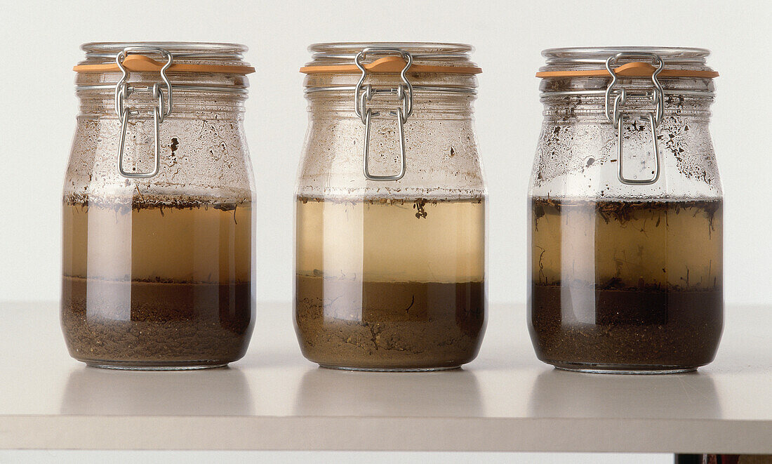 Three jars of soil samples in water