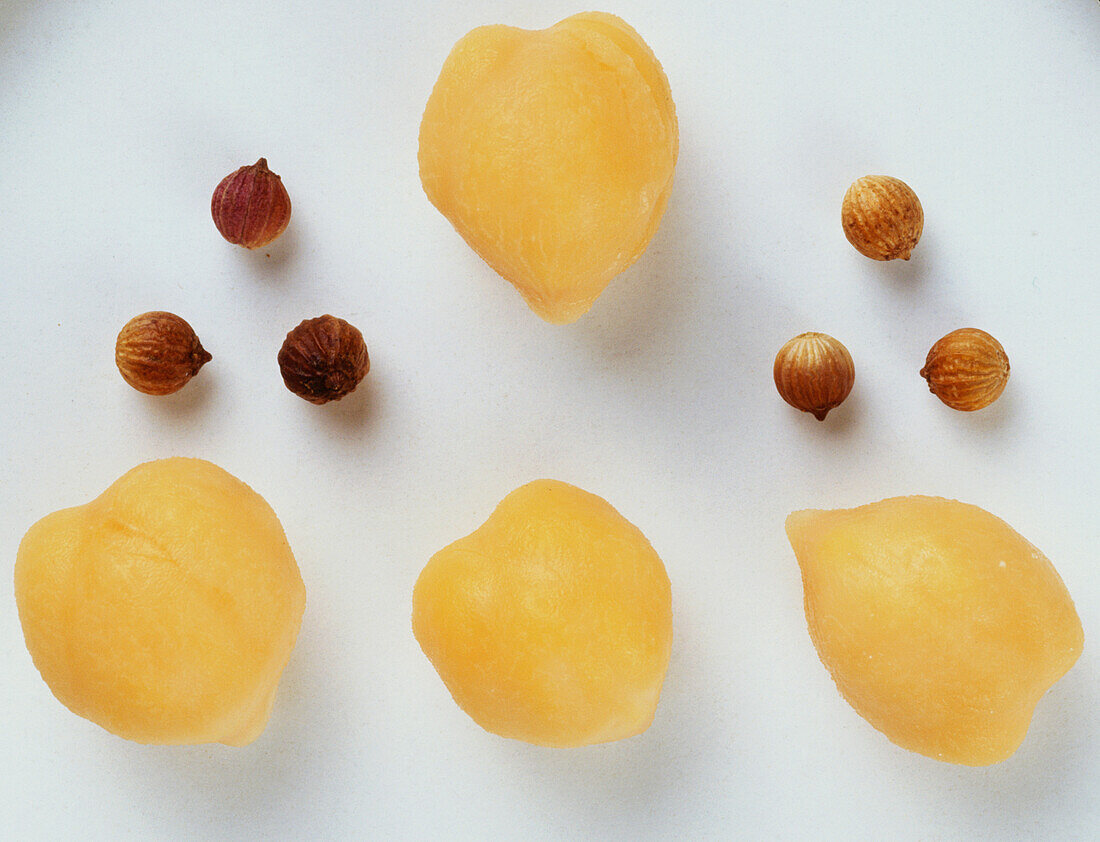 Several chick peas and coriander seeds