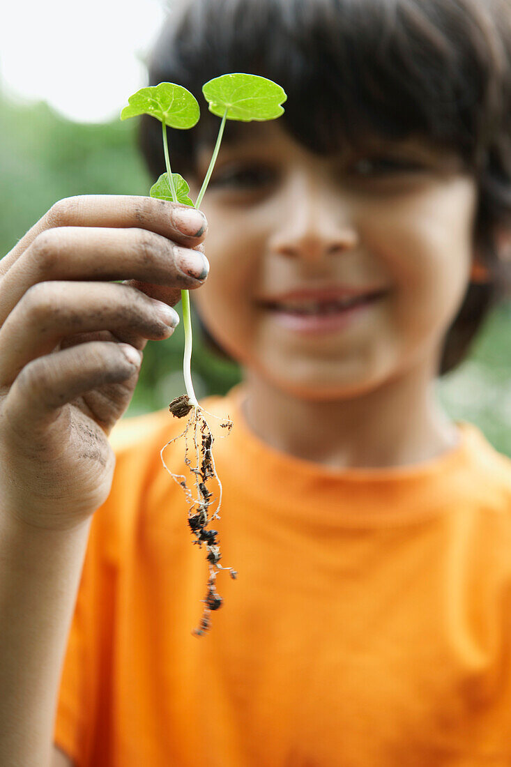 Boy holding nasturtium seedling