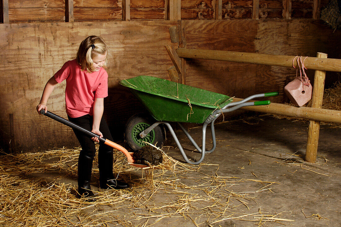 Girl shovelling manure into wheelbarrow