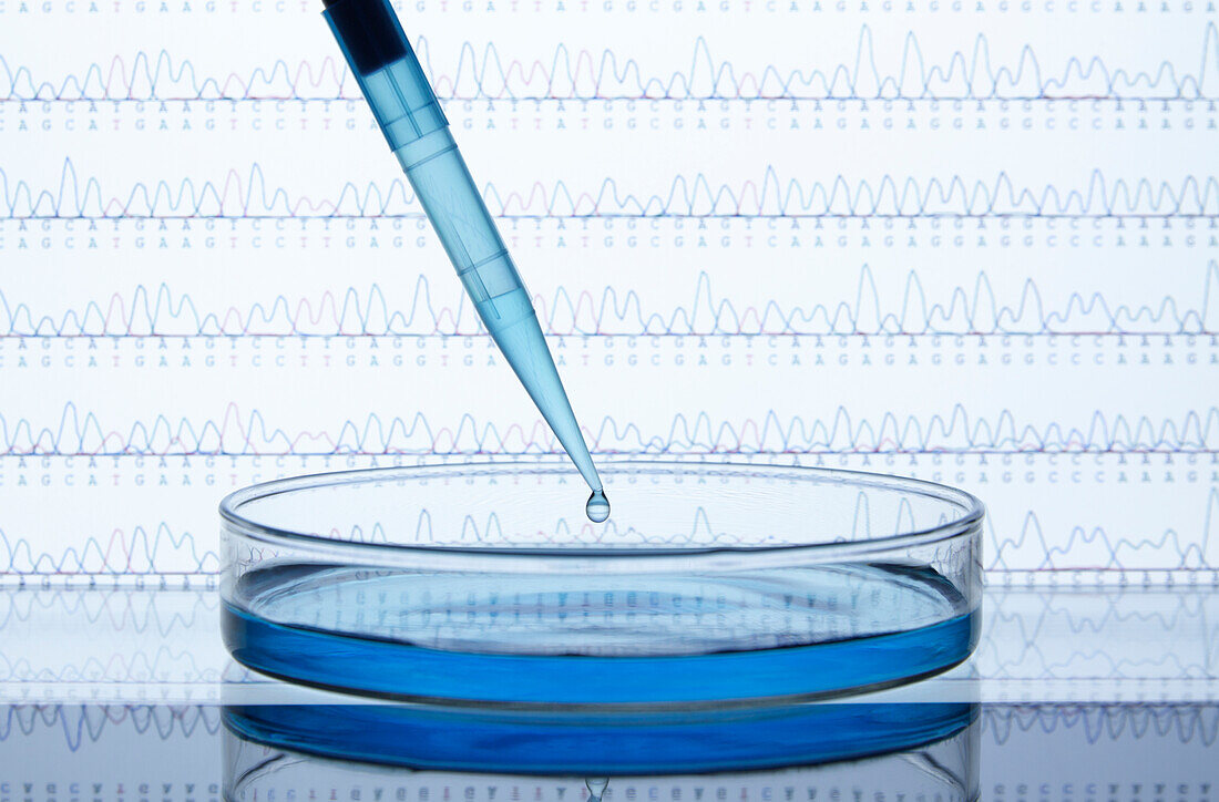 DNA sequencing