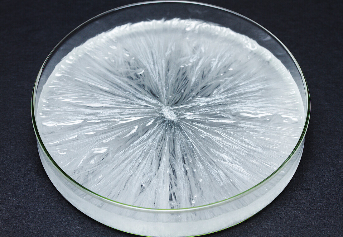 Crystallization of sodium acetate