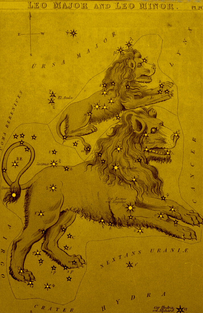 Leo Major and Leo Minor constellation card, illustration