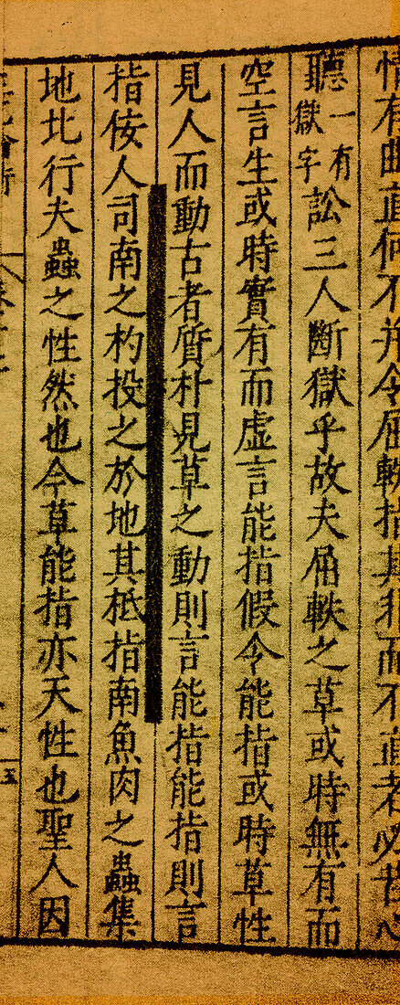 Section of Wang Chung's Critique of Opinions