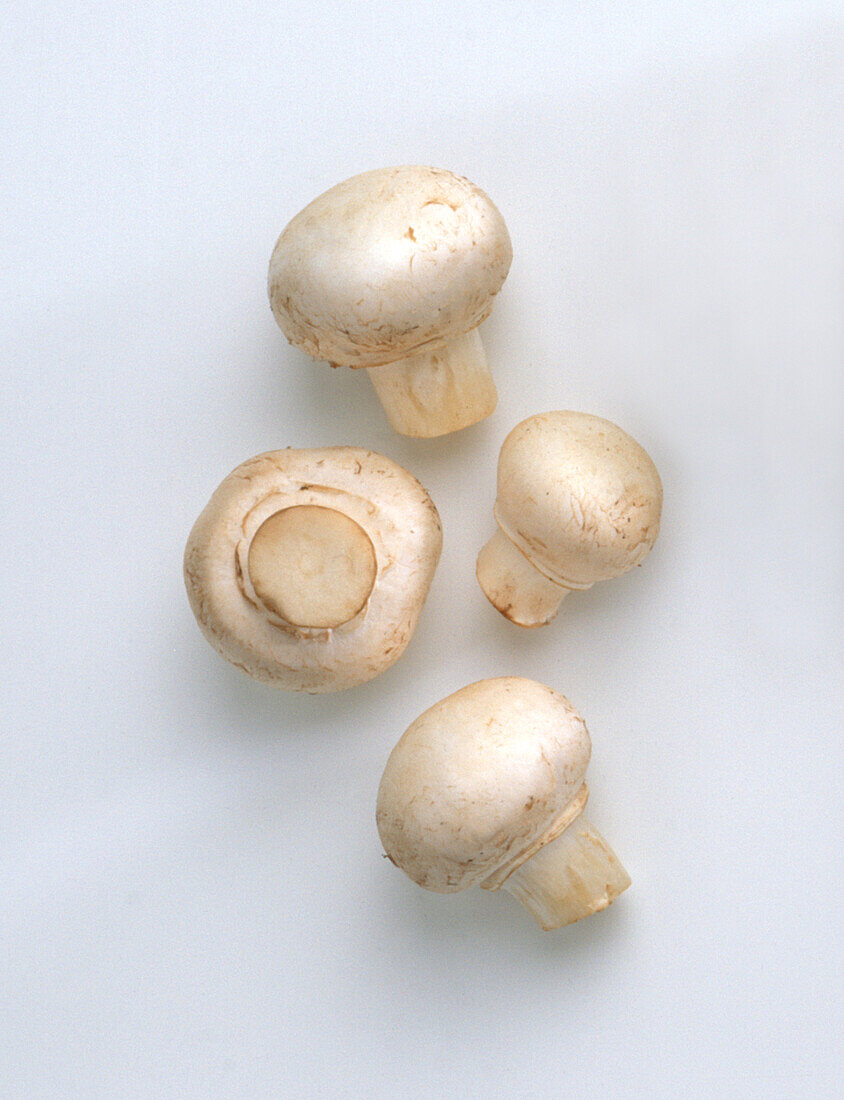 Button mushrooms