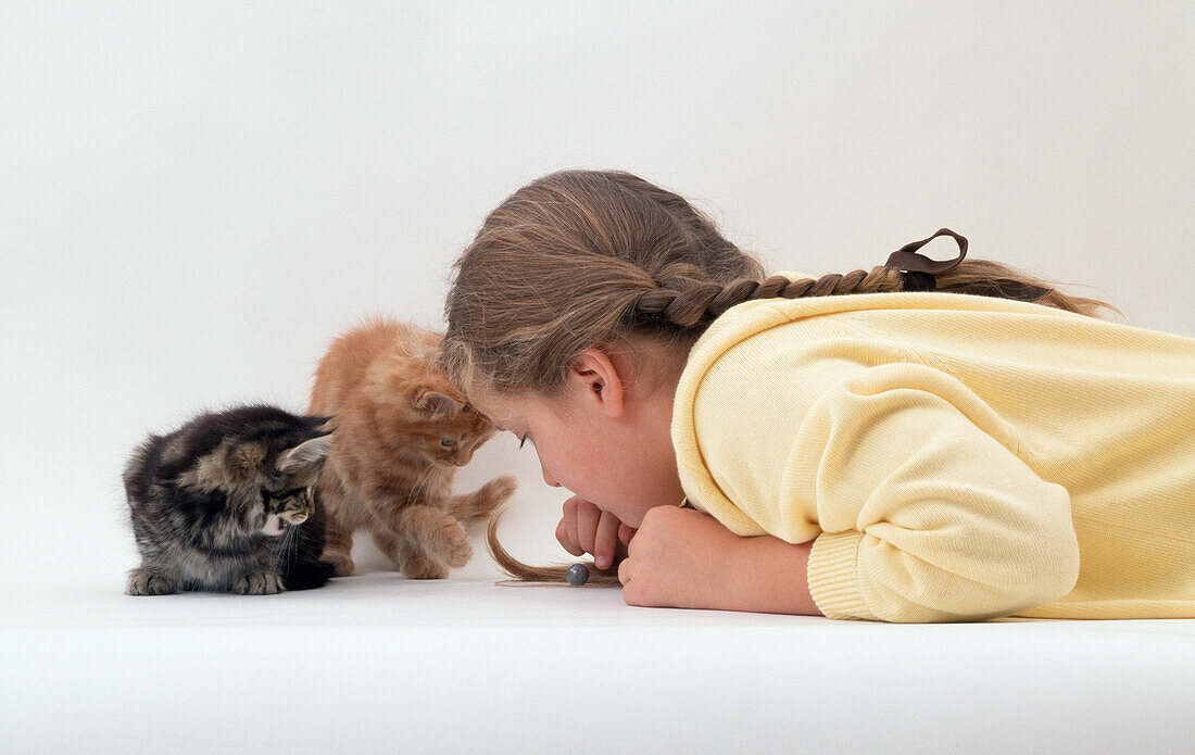Two kittens playing with a girl dressed in yellow