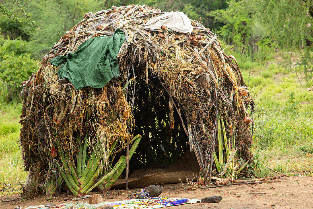 Hadza tribe huts