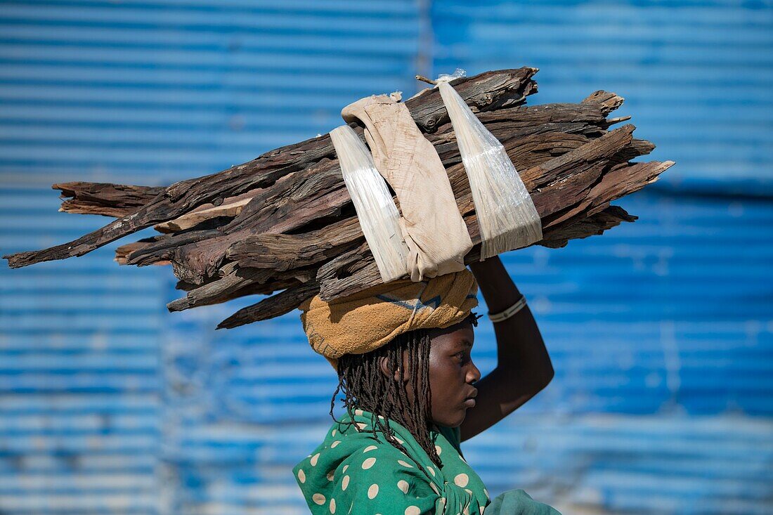 Girl from the Zemba tribe carrying firewood