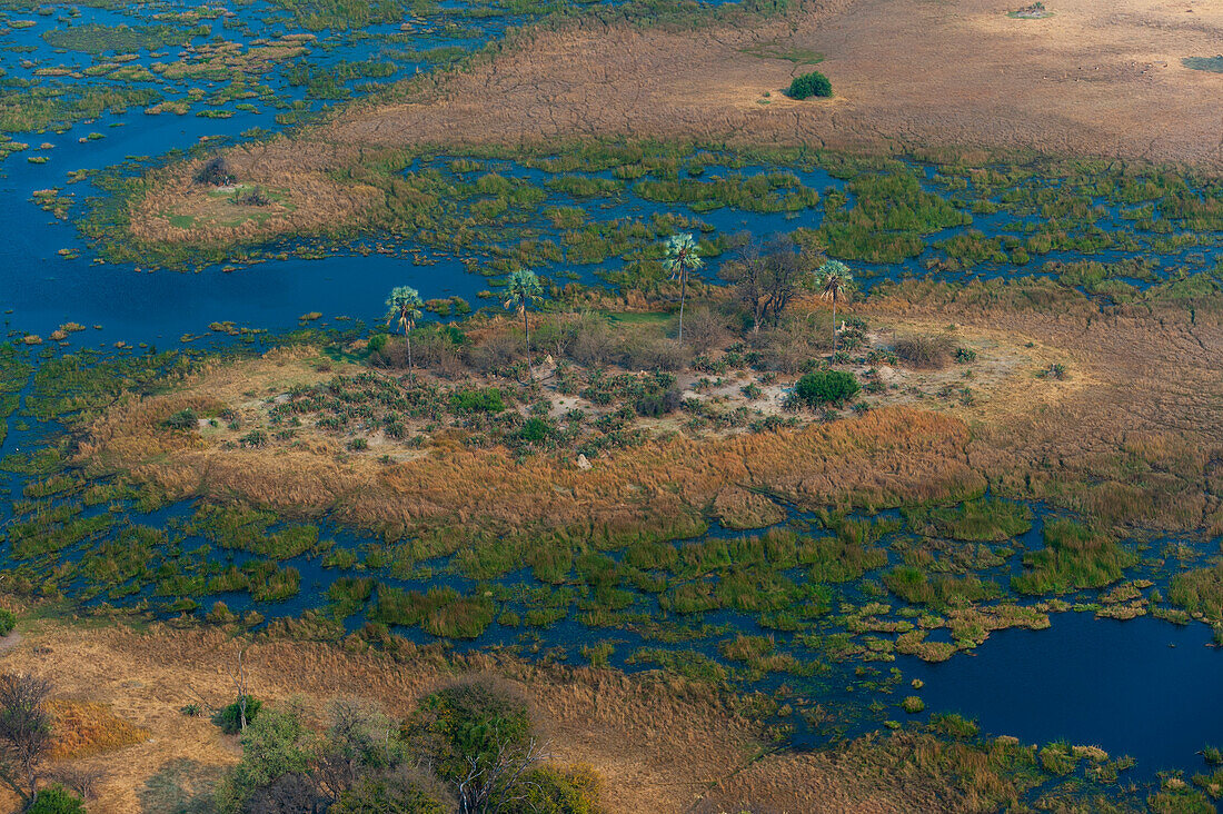 Okavango Delta, Botswana, aerial photograph