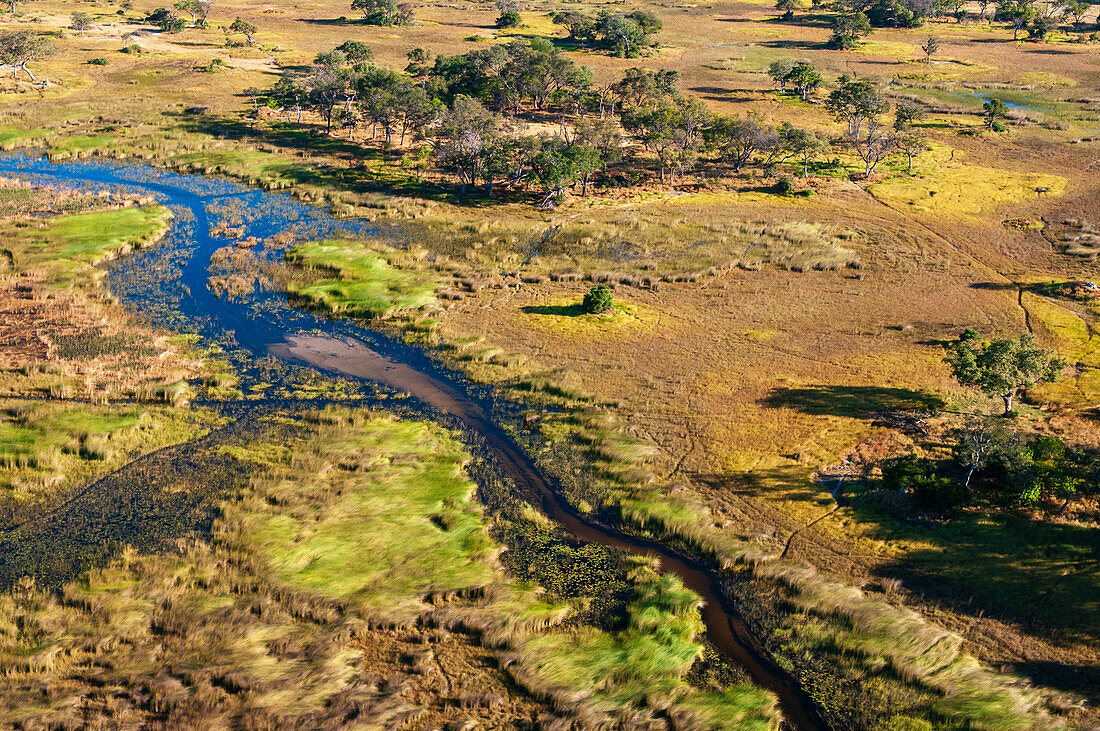 Okavango Delta, Botswana, aerial photograph