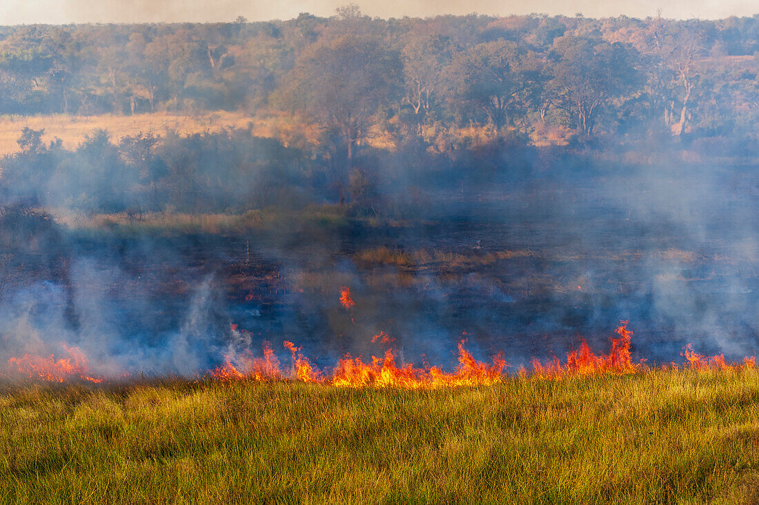 Bushfire in the Okavango Delta, Botswana