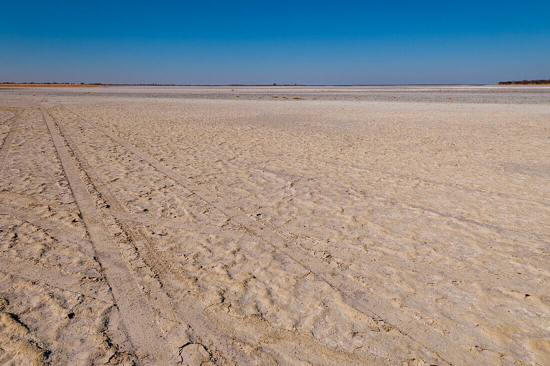 Vehicular tracks on the Kudiakam salt pan, Botswana