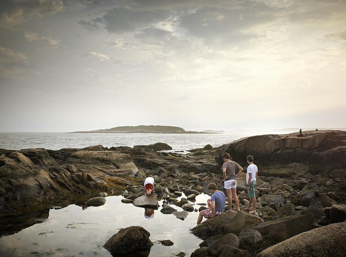 A group of people rockpooling.