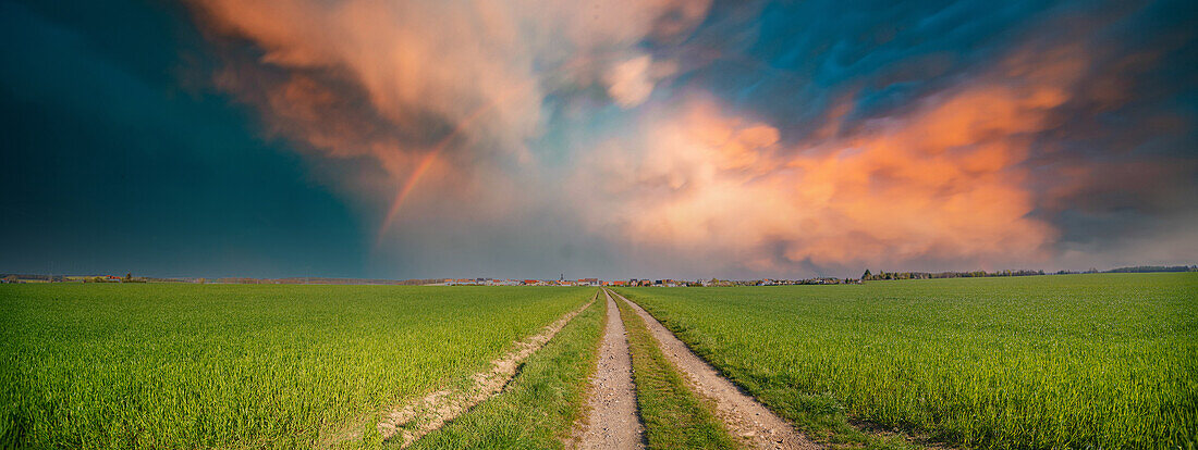 Field with a dirt road and sunset sky