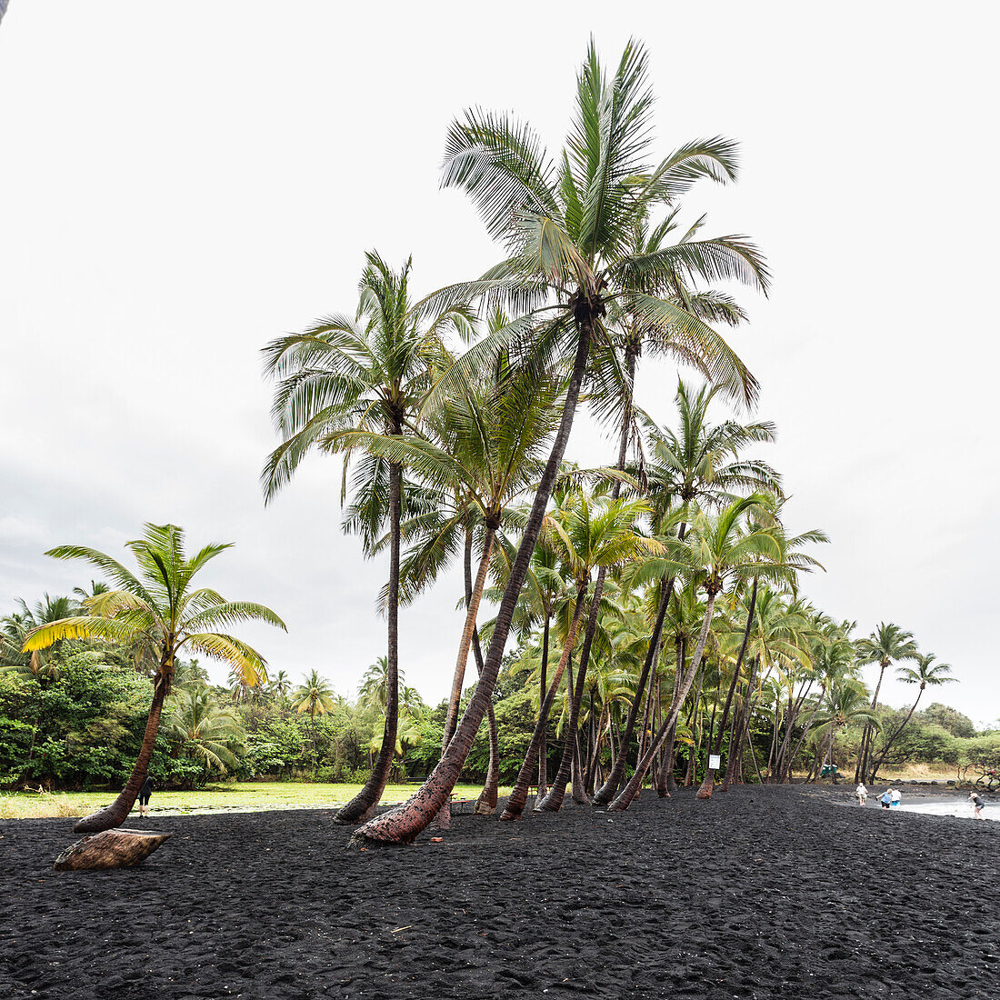Punaluu black sand beach, Hawaii, USA